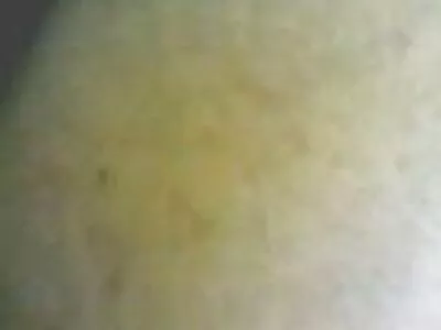 Isa sm sex hd tütrega.
