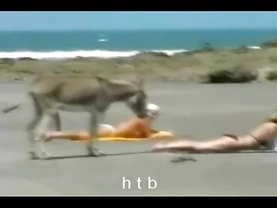 Taksojuhi pornno sex armastustants vana tuttavaga.